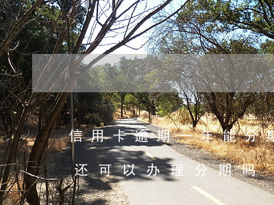 信用卡逾期一年能分期还清吗(以前有过逾期还可以办理分期吗)