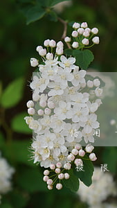 信用卡逾期一年能否出國(信用卡逾期多久會被限制出境)