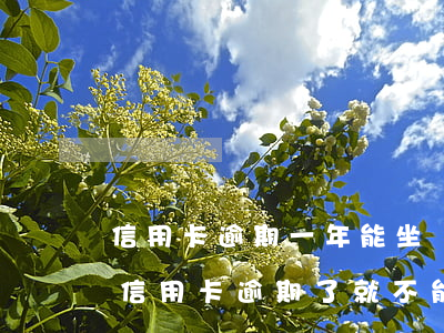 信用卡逾期一年能坐飛機(jī)么(是不是信用卡逾期了就不能坐飛機(jī)了)
