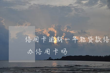 信用卡逾期一年能贷款(信用卡逾期一年还能办信用卡吗)