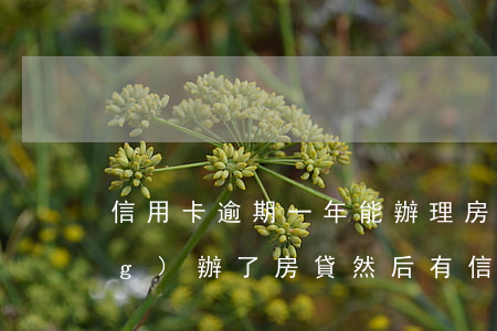 信用卡逾期一年能辦理房貸嗎(已經(jīng)辦了房貸然后有信用卡逾期有什么后果)