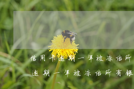 信用卡逾期一年被冻结所有银行卡-信用卡逾期一年被冻结所有银行卡怎么办