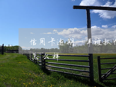 信用卡逾期一年被抓(信用卡逾期一年被抓会怎么样)