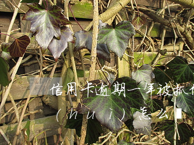 信用卡逾期一年被抓(信用卡逾期一年被抓會(huì)怎么樣)