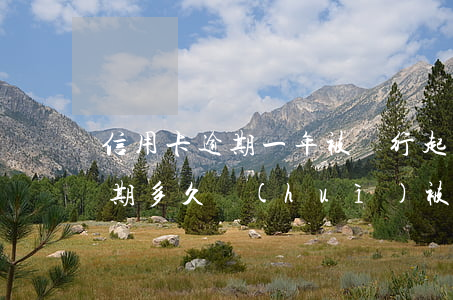 信用卡逾期一年被銀行起訴(欠銀行信用卡逾期多久會(huì)被起訴)