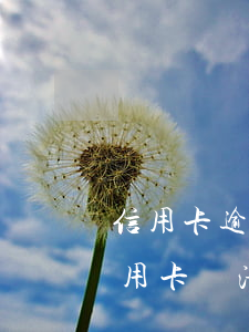 信用卡逾期一年要一次還清-逾期一年的信用卡還清還能用嗎