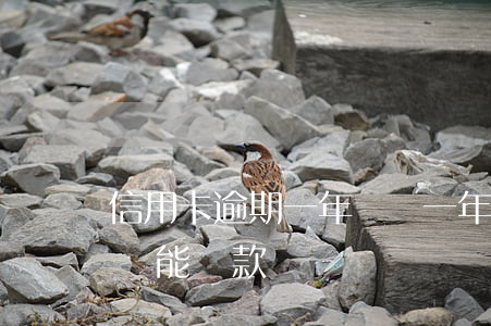 信用卡逾期一年記錄 一年前信用卡有逾期記錄,能貸款嗎
