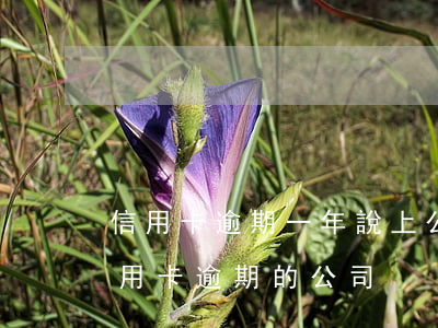 信用卡逾期一年說上公司(有沒有幫忙處理信用卡逾期的公司)