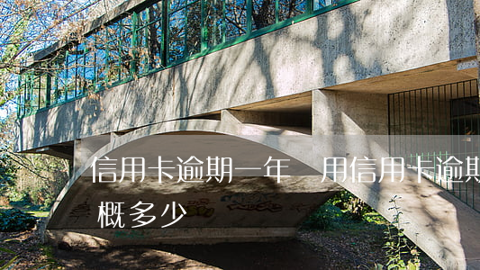 信用卡逾期一年費用(信用卡逾期一年費用大概多少)