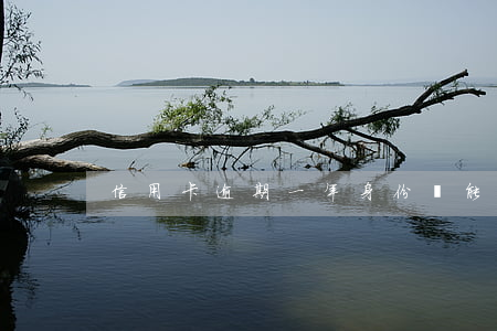 信用卡逾期一年身份證能用嗎