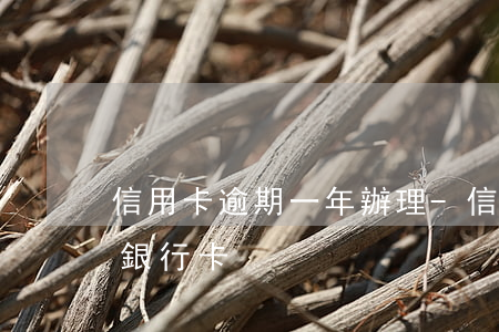 信用卡逾期一年辦理-信用卡逾期一年辦理銀行卡