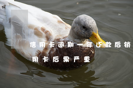 信用卡逾期一年还款后销户了(逾期后注销信用卡后果严重)