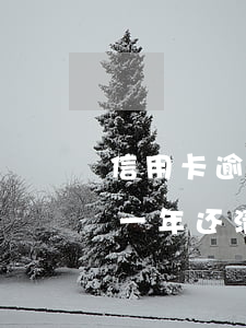 信用卡逾期一年还清还能使用吗（信用卡逾期一年还清还能使用吗）