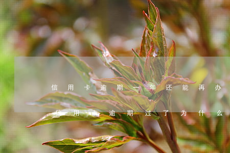 信用卡逾期一年还能再办信用卡吗-以前用信用卡逾期过了为什么还能办信用卡