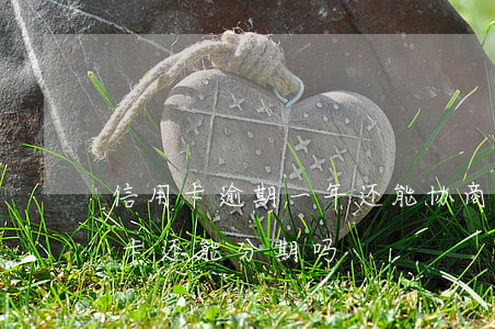 信用卡逾期一年还能协商分期吗(逾期的信用卡还能分期吗)