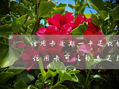 信用卡逾期一年还能协商还款么(没有逾期的信用卡可以协商还款吗)