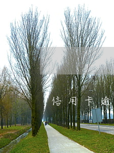 信用卡逾期一年还能坐火车吗