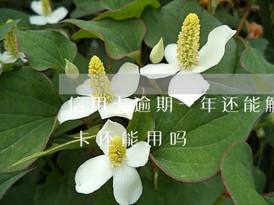信用卡逾期一年还能解封不(逾期一年的信用卡还能用吗)