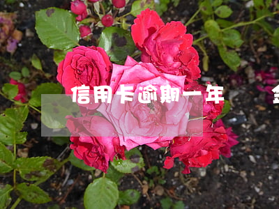 信用卡逾期一年違約金要不要還-