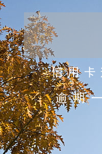 信用卡逾期一年還一點(diǎn) 信用卡逾期一年還一點(diǎn)進(jìn)去還可以拿出來(lái)嗎