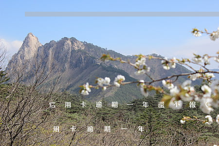 信用卡逾期一年還不報(bào)案-欠信用卡逾期一年
