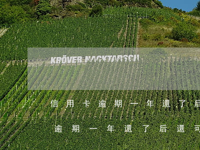 信用卡逾期一年還了后還可以用嗎-信用卡逾期一年還了后還可以用嗎知乎