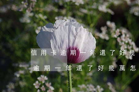信用卡逾期一年還了好幾萬怎么辦-信用卡逾期一年還了好幾萬怎么辦呢