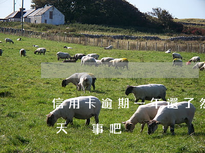 信用卡逾期一年還了然后呢(還信用卡逾期一天沒事吧)