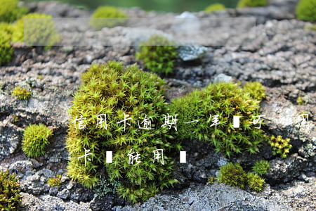信用卡逾期一年還可以用嗎(逾期一年的信用卡還能用嗎)