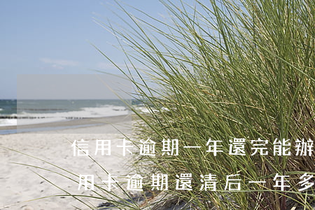 信用卡逾期一年還完能辦理車貸嗎(以前有信用卡逾期,還清后一年多時(shí)間了,能辦理車貸嗎?)
