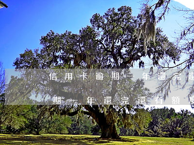 信用卡逾期一年還完還有額度嗎-信用卡逾期一年還完還有額度嗎怎么辦