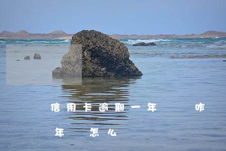 信用卡逾期一年還會咋樣(銀行信用卡逾期一年會怎么樣)