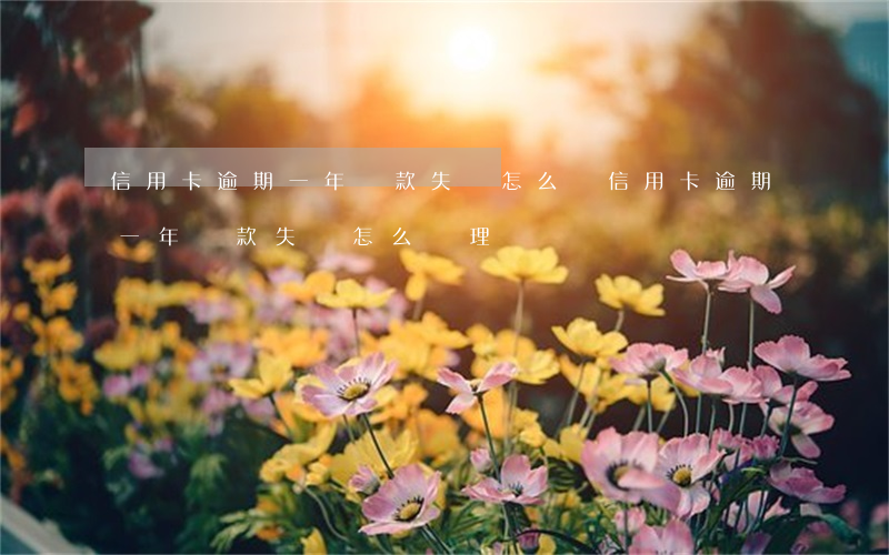 信用卡逾期一年還款失敗怎么辦(信用卡逾期一年還款失敗怎么辦理)
