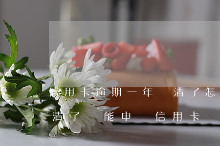 信用卡逾期一年還清了怎么辦呢(逾期半年還清了還能申請信用卡嗎)