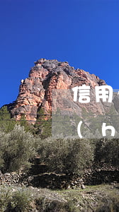 信用卡逾期一年還清后呆賬(欠信用卡幾年會(huì)成呆賬)