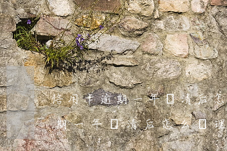 信用卡逾期一年還清后怎么處理-信用卡逾期一年還清后怎么處理好