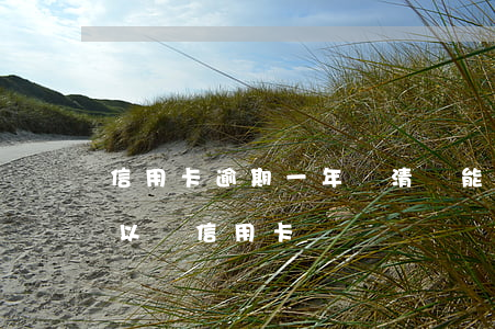 信用卡逾期一年還清還能辦嗎(逾期還清了可以辦信用卡)