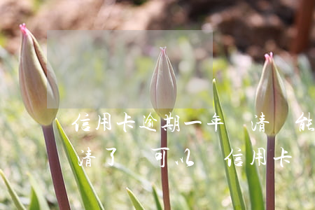 信用卡逾期一年還清還能辦理嗎(有逾期但還清了還可以辦信用卡嗎)