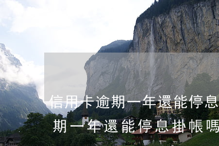 信用卡逾期一年還能停息掛帳嗎-信用卡逾期一年還能停息掛帳嗎知乎