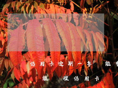信用卡逾期一年還能申請房貸么(房貸逾期了還能辦理信用卡嗎)
