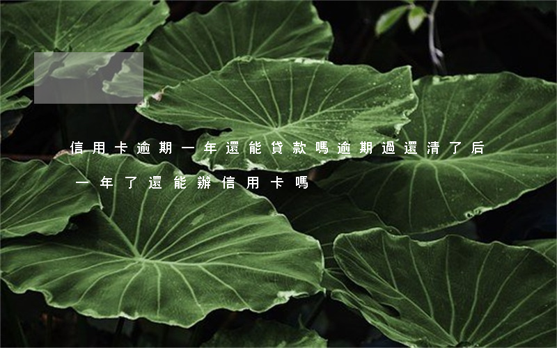 信用卡逾期一年還能貸款嗎(逾期過還清了后一年了還能辦信用卡嗎)