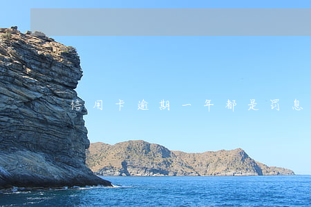 信用卡逾期一年都是罚息(信用卡逾期一年了)