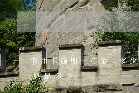 信用卡逾期一年金額多少(信用卡逾期一年利息是多少)