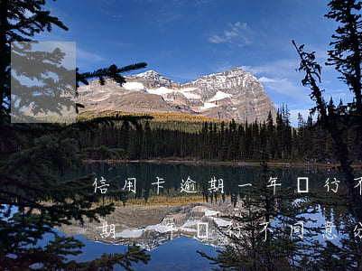信用卡逾期一年銀行不同意分期-信用卡逾期一年銀行不同意分期怎么辦