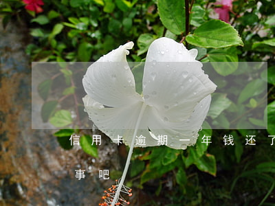 信用卡逾期一年钱还了(还信用卡逾期一天没事吧)