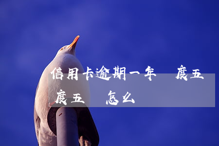 信用卡逾期一年額度五萬(信用卡逾期一年額度五萬怎么辦)