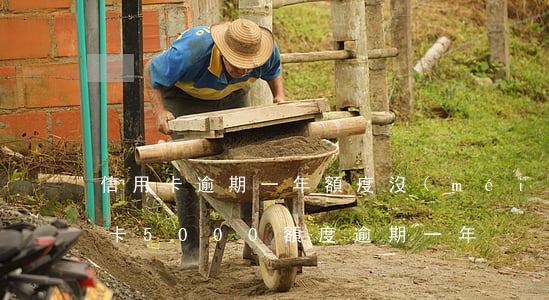 信用卡逾期一年額度沒(méi)有了(信用卡5000額度逾期一年)