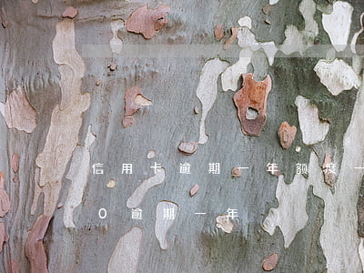 信用卡逾期一年额度一万-信用卡10000逾期一年