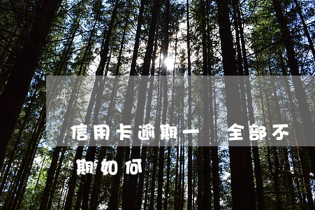 信用卡逾期一張全部不還了(欠多張信用卡逾期如何還)