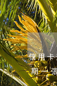 信用卡逾期一張其他影響使用嗎-信用卡逾期一張其他影響使用嗎怎么辦